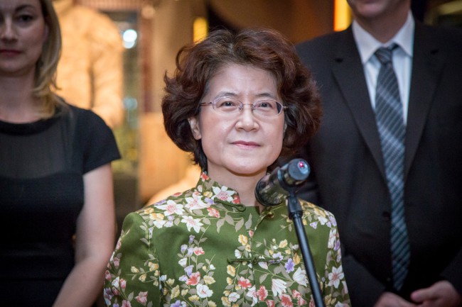 中国驻捷大使马克卿谈论中捷关系及其他议题